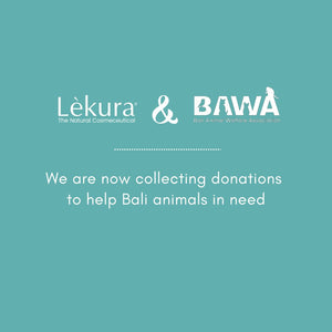 BAWA Bali Animal Welfare Association